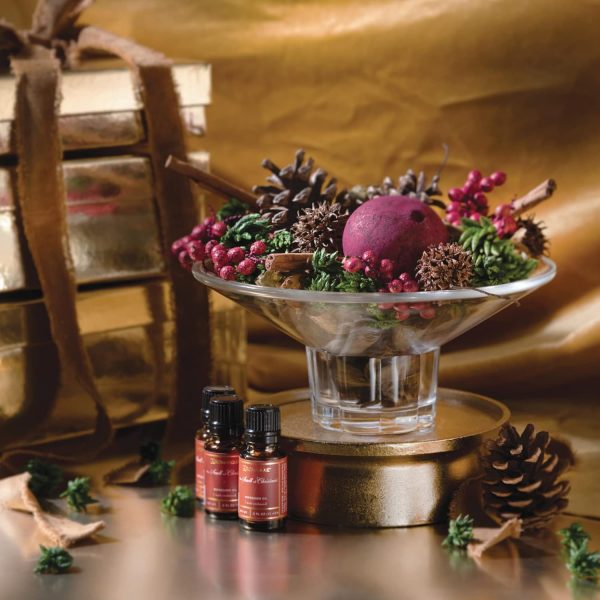 Aromatique The Smell of Christmas Fragrant Refresher Oil .5 fl oz - Image 5